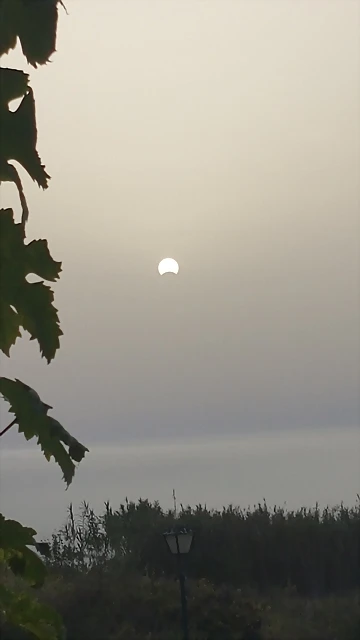 20170821_211451 20170821_211451