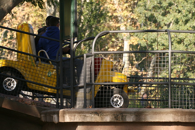 Zoo de Barcelona 22-10-10 077 Zoo de Barcelona 22-10-10 077