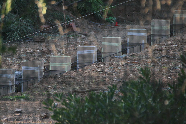 Zoo de Barcelona 22-10-10 102 Zoo de Barcelona 22-10-10 102