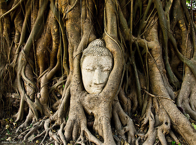 ayutthaya