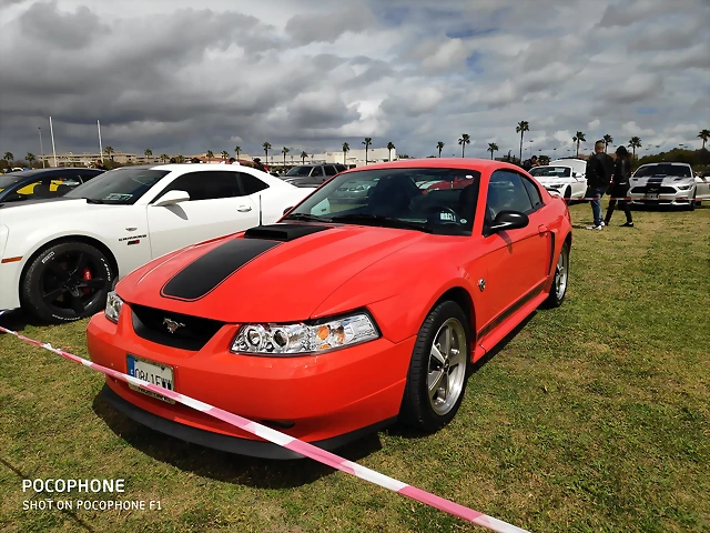IMG_20190406_140109 IMG_20190406_140109