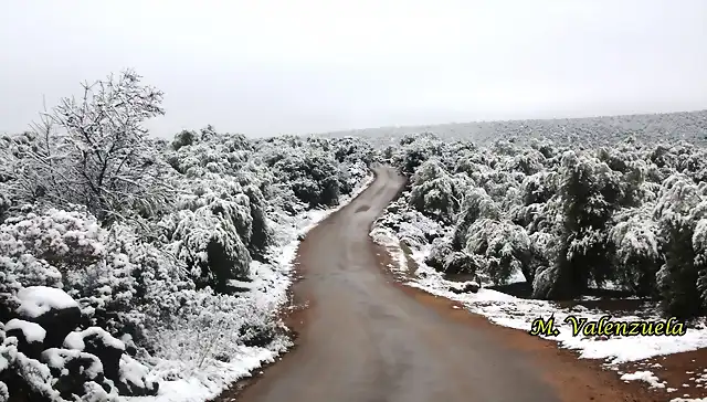 06, Llano del Cura, marca