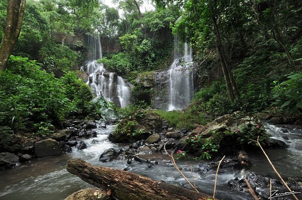 El interior de la selva de la ecorregin