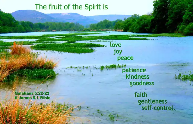 fruits_of_spirit4