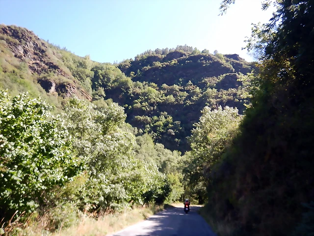 DSCN0109 DSCN0109