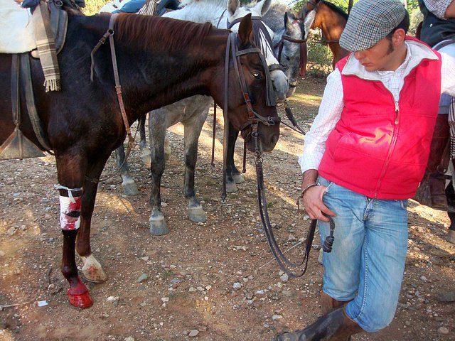 Excursion campestre a Los Dolmenes