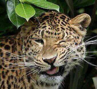 Mar?a twitter 14-9-2014