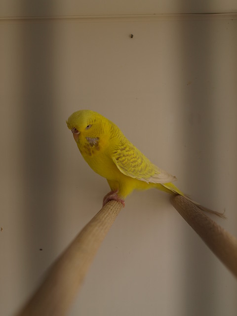 P4060200 P4060200