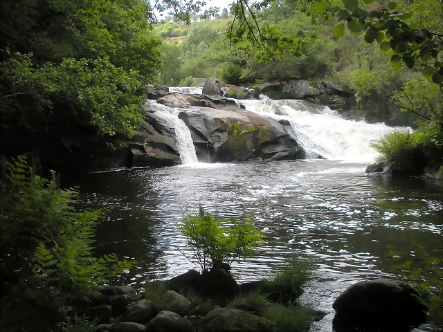 DSCN2812 DSCN2812