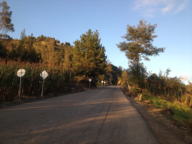 IMG_4974 IMG_4974