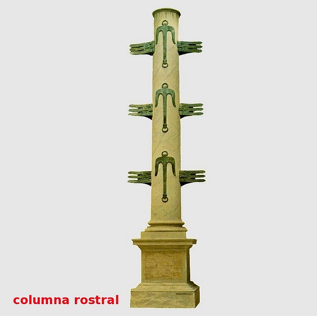 columna rostral