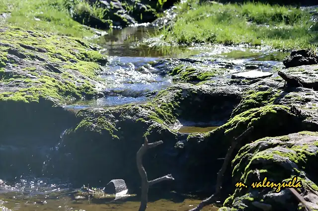 06, arroyo, marca