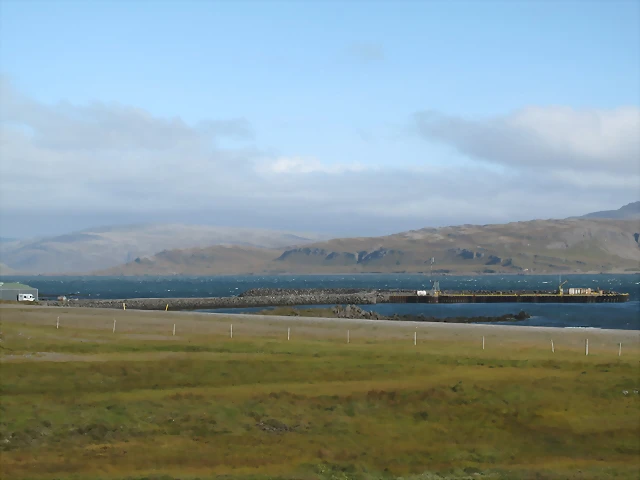 IMG_0992 IMG_0992