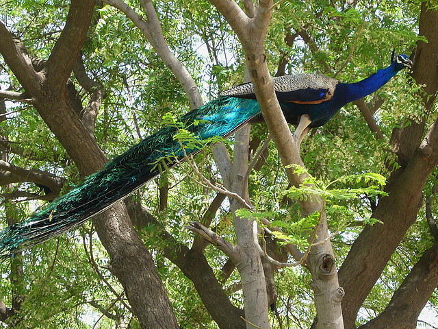 P1220788