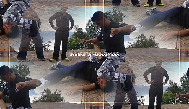 systema-combat R.M.A Instructor systema-combat R.M.A Instructor