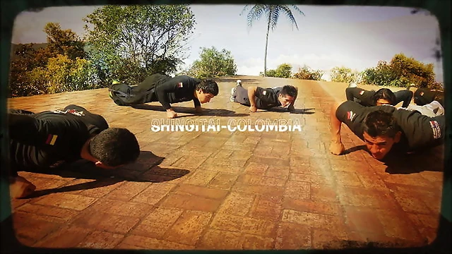 systema-combat R.M.A systema-combat R.M.A