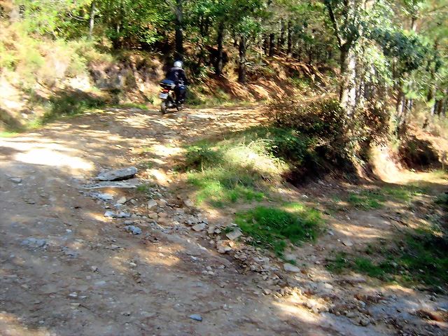IMG_0580 IMG_0580