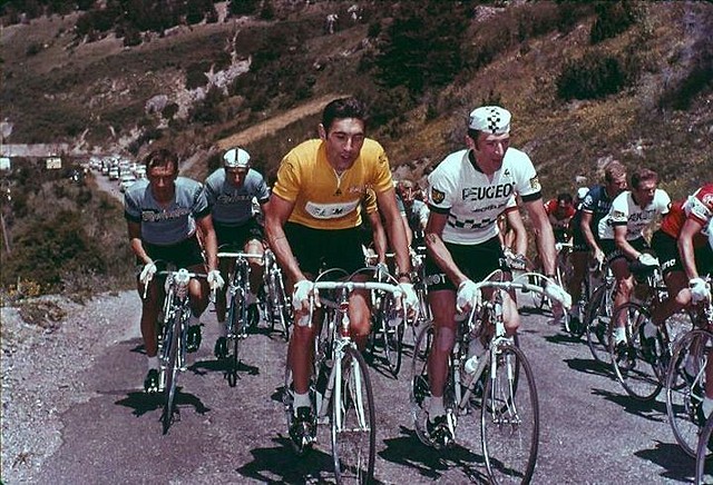 TOUR-MERCKX-PINGEON.-1969