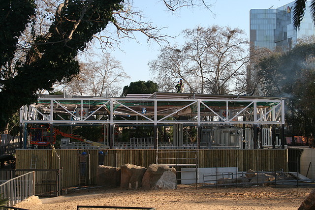 Zoo de Barcelona 01-03-11 403 Zoo de Barcelona 01-03-11 403