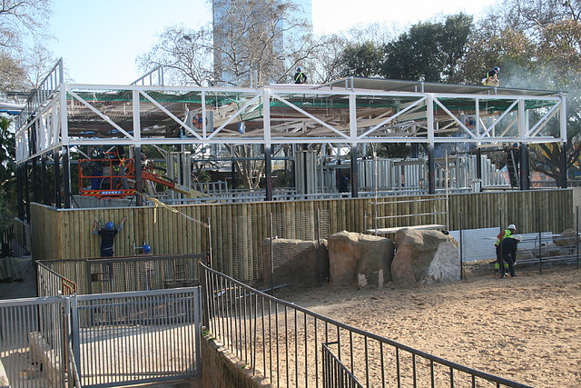 Zoo de Barcelona 01-03-11 399 Zoo de Barcelona 01-03-11 399