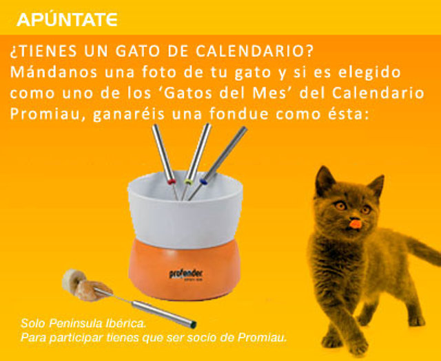 Promo Calendario Fondue