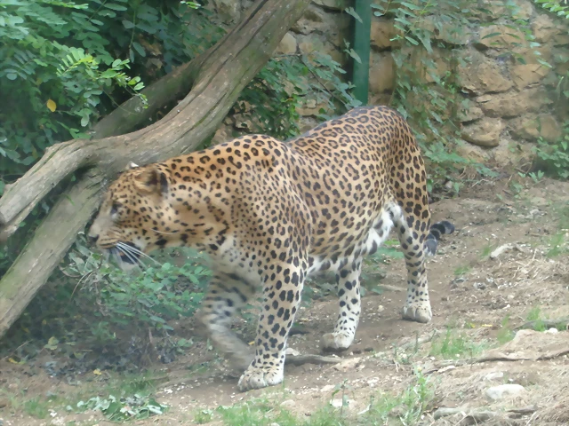 DSC01553 DSC01553