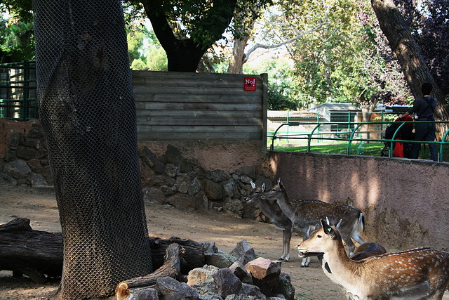 Zoo de Barcelona 24-10-10 095 Zoo de Barcelona 24-10-10 095