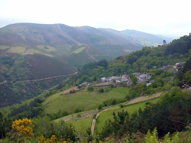 DSCN2943 DSCN2943