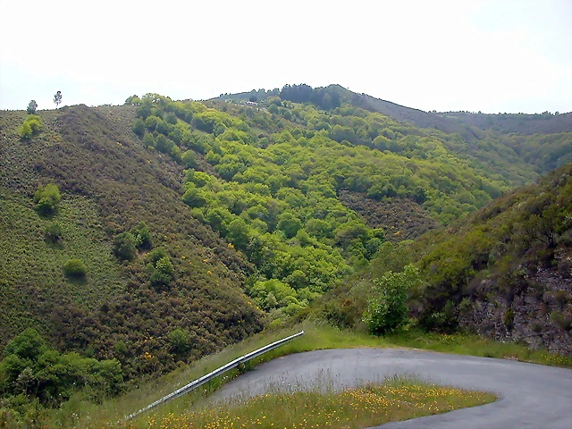 DSCN2955 DSCN2955