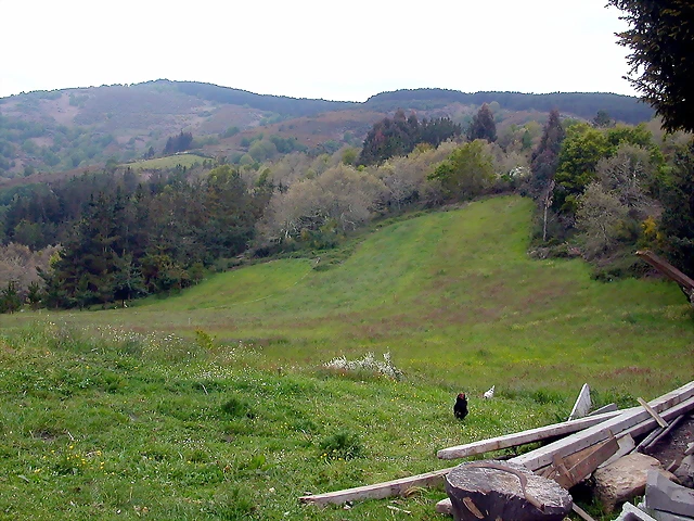 DSCN2916 DSCN2916