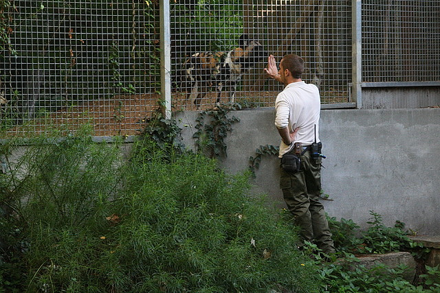 Zoo de Barcelona 05-11-10 749 Zoo de Barcelona 05-11-10 749