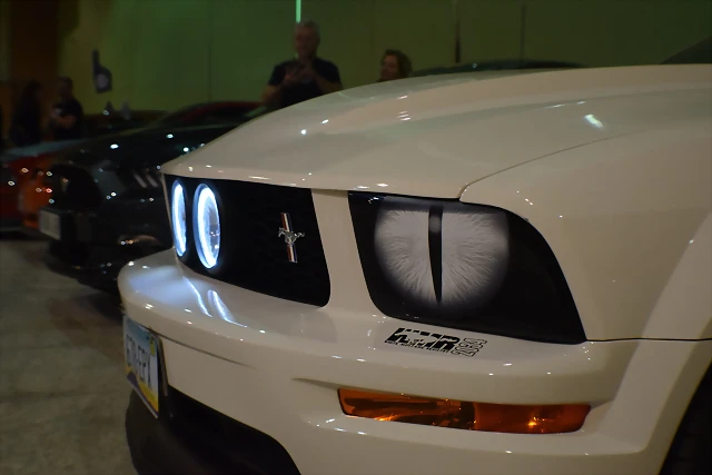 DSC_0806 DSC_0806