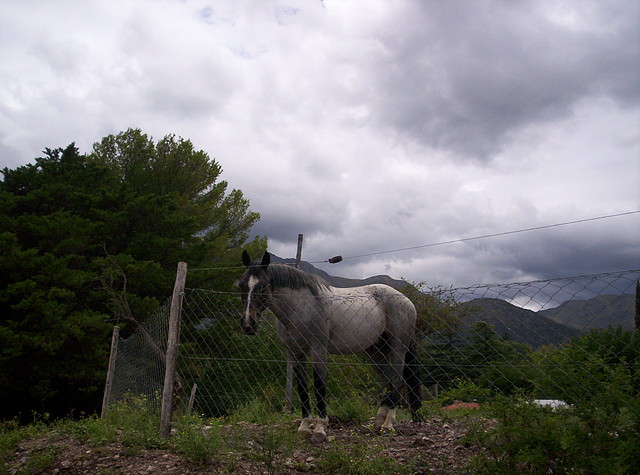 Base del Cerro Enero 2011 024