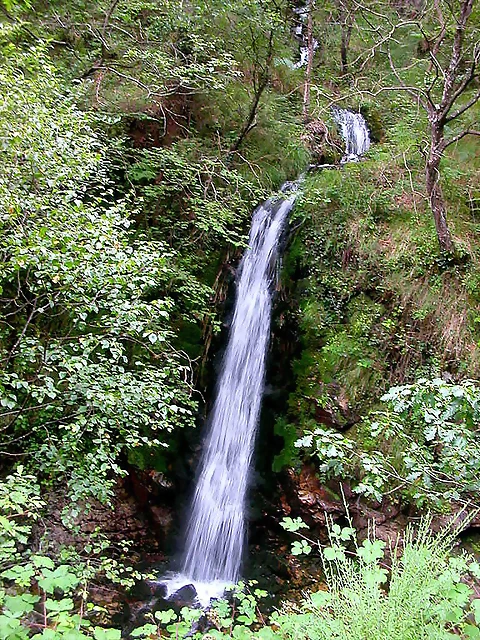 DSCN3776 DSCN3776