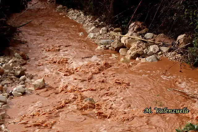 12, arroyo la alfanga, marca