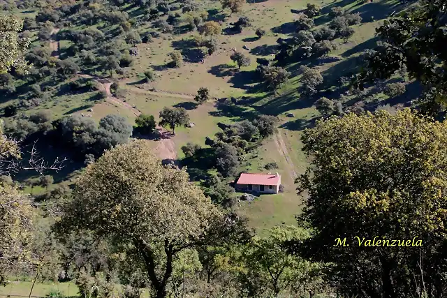 18, cortijo de fate, marca