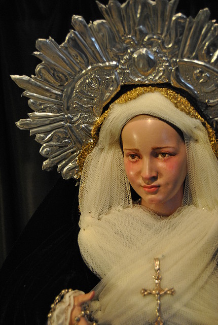 DSC_3195 DSC_3195