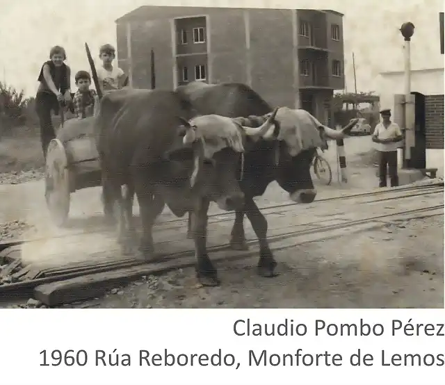 Monforte de Lemos Lugo (1)