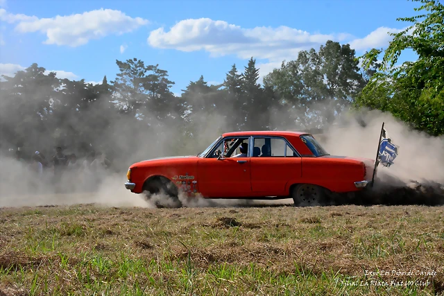 DSC_0290 DSC_0290