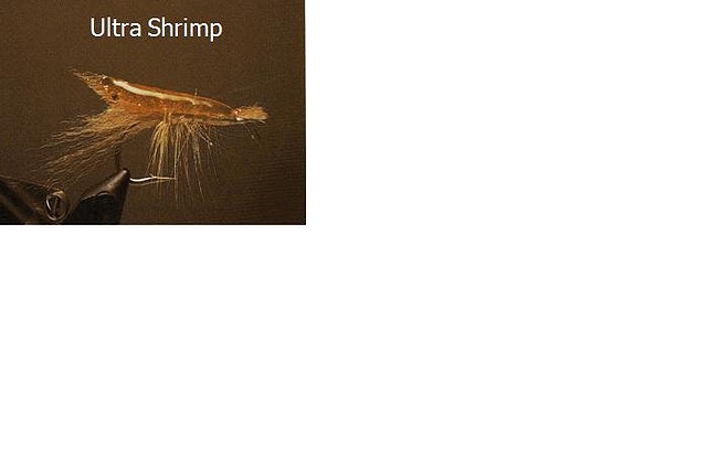 ultrashrimp