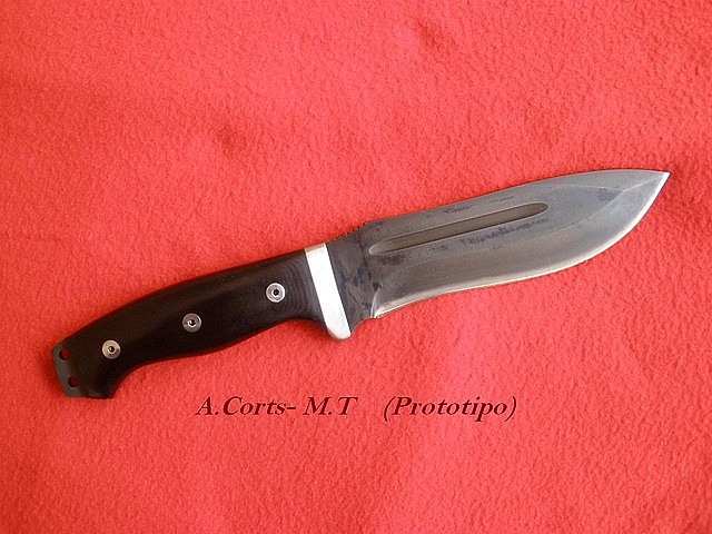 mt-corts 6 mt-corts 6