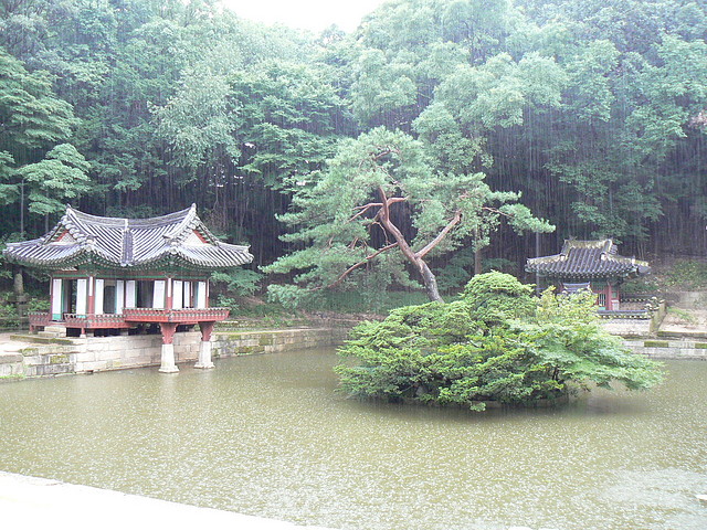 jardin secreto desde pagoda