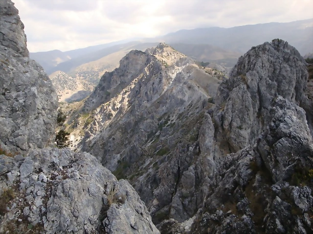 alayosdilar (Medium) alayosdilar (Medium)
