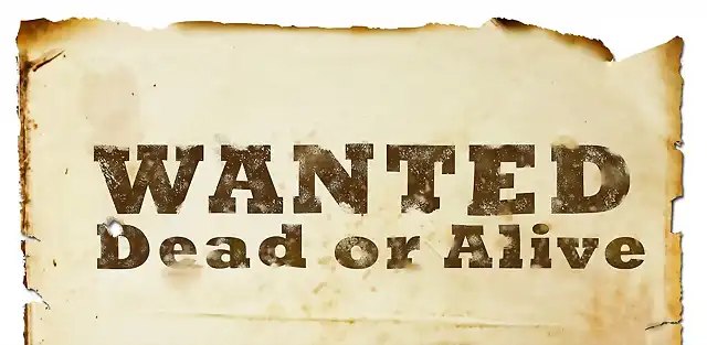 Wanted-Dead-or-Alive-2-1024x501