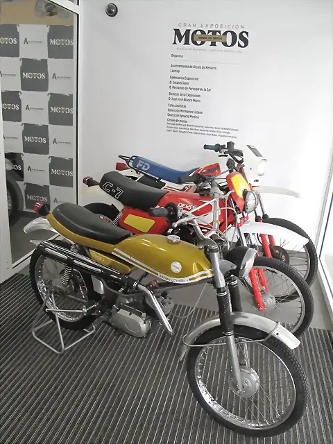 IMG_1529 IMG_1529