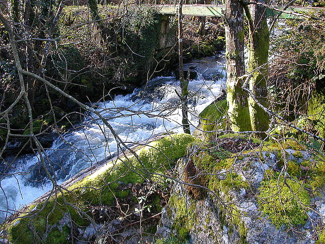 DSCN1502 DSCN1502