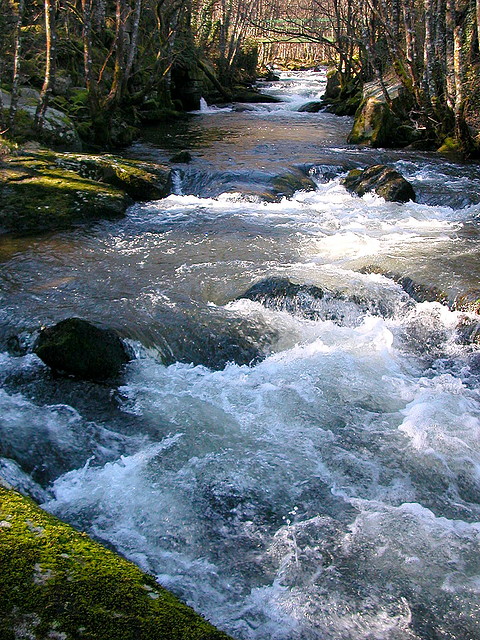 DSCN1517 DSCN1517