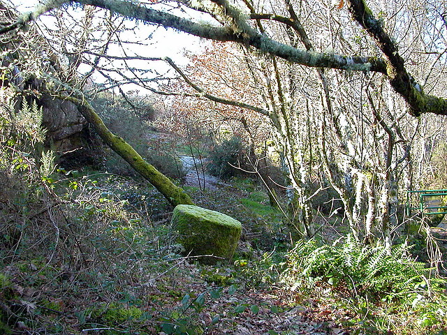 DSCN1508 DSCN1508
