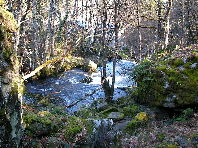 DSCN1509 DSCN1509