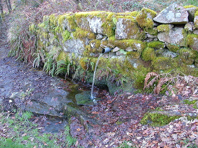 DSCN1512 DSCN1512